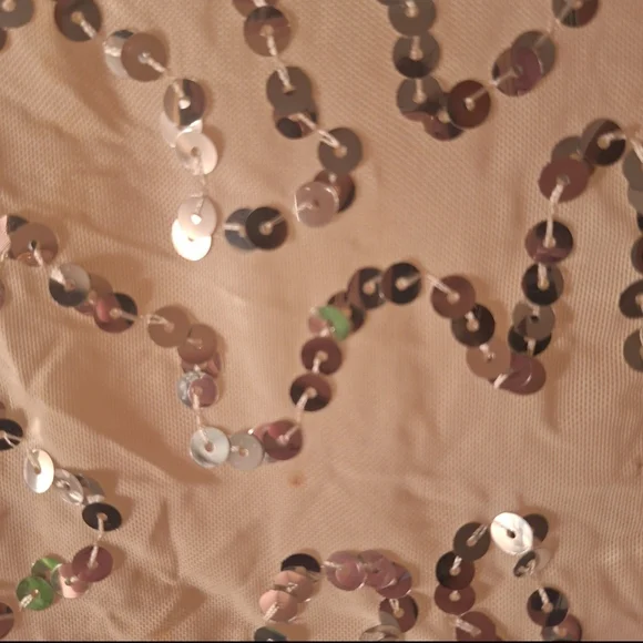 Sequin Tie-Front Sheer Creme Crop Top - Picture 5 of 12